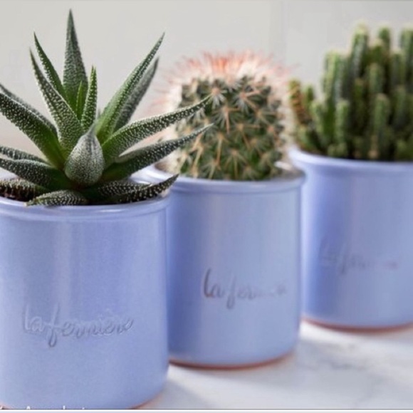 3 LA FERMIERE MULTI-PURPOSE PERIWINKLE BLUE POTS - CUSTARD YOGURT PANNA COTTA - Picture 3 of 5